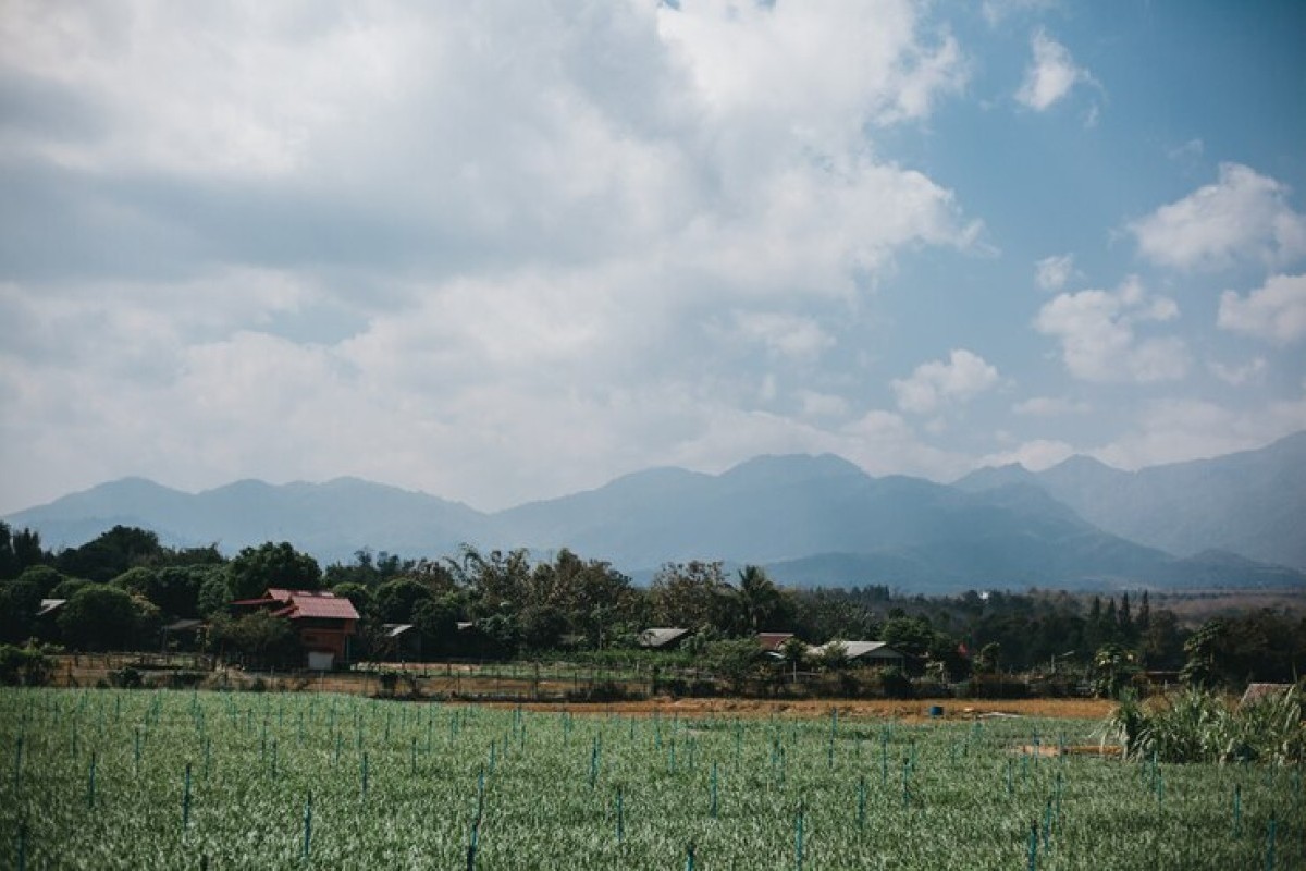 Saingan Sama Kutub Utara, 5 Daerah Terdingin Di Kabupaten Brebes, Bukan Paguyangan Pemenangnya?