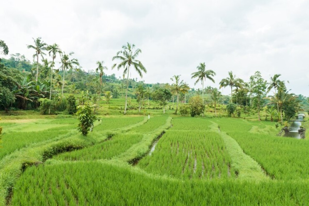 Gak Minat Merantau Kesini? Daerah Ini Masih Asri Belum Banyak Penghuni Loh, 5 Kecamatan Tersepi Di Kabupaten Klaten