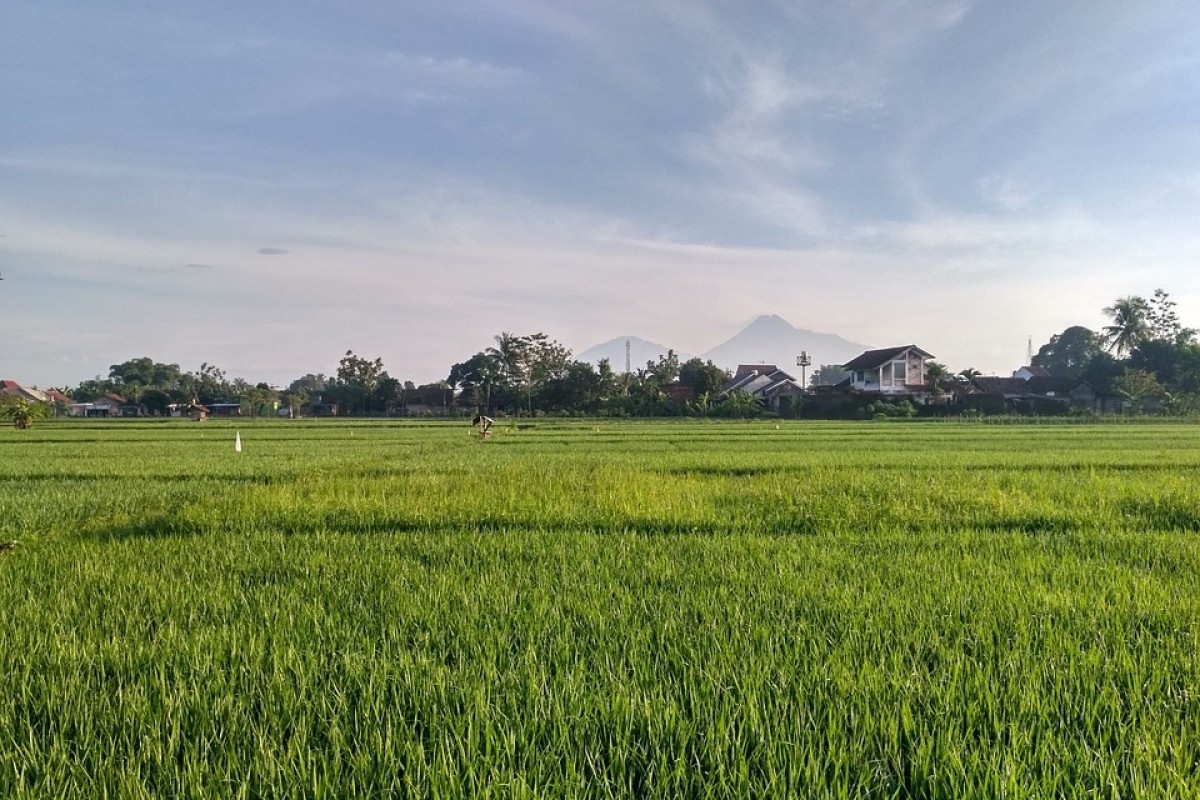 Apa Kepanjangan Dari Klaten? Intip Arti Nama-Nama Unik yang ada di Jawa Tengah, Kalau Banyumas Benarkah Artinya Air dan Emas?