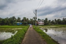 Bukan Salam Atau Dukun Yang Menduduki Posisi Pertama, Tapi Siapa? 5 Kecamatan Tersepi Di Magelang