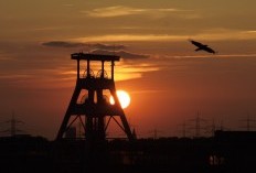 Melirik Kehebatan Smelter Nikel Terbesar di Dunia yang ada di Sulawesi Tenggara, di Lahan Seluas 20.000 Hektar, Buka Lowongan Pekerjaan Buat 12 Ribu Pekerja Lokal