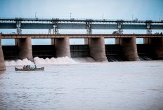 Luasnya Cintamu Tak Seluas Waduk Ini, 10 Waduk Terbesar Di Indonesia Nomor 1 Punya Luas Hingga 8.300 Hektare