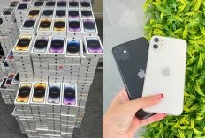 Stok Menipis! Harga Resmi iPhone 11 di iBox Turun Drastis! Sisa Terbatas Nih, Gak Boleh Ketinggalan Spesial Akhir Tahun