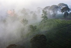 Pangandaran Kepanjangan dari Apa? Yuk Cek 4 Daerah di Jawa Barat yang Namanya Berasal dari Singkatan, Kalau Karawang