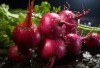 Siap Bertarung Dengan Bawang Merah? Lakukan Cara Ini Agar Tidak Perih Di Mata